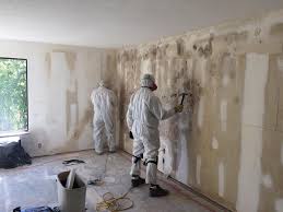 Best Comprehensive Air Testing for Mold Contaminants  in USA